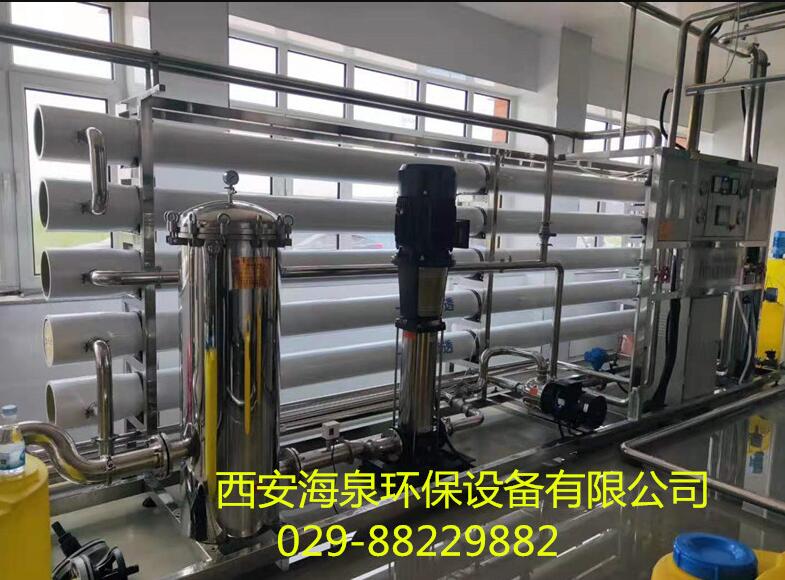 河南电力集团20T反渗透设备